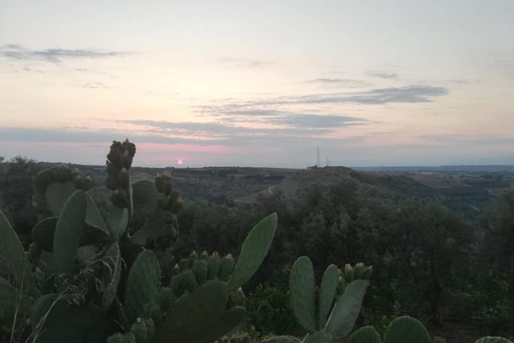 Villa Emma Con Panorama Etna A 10 Minuti Dal Mare Lentini Buitenkant foto